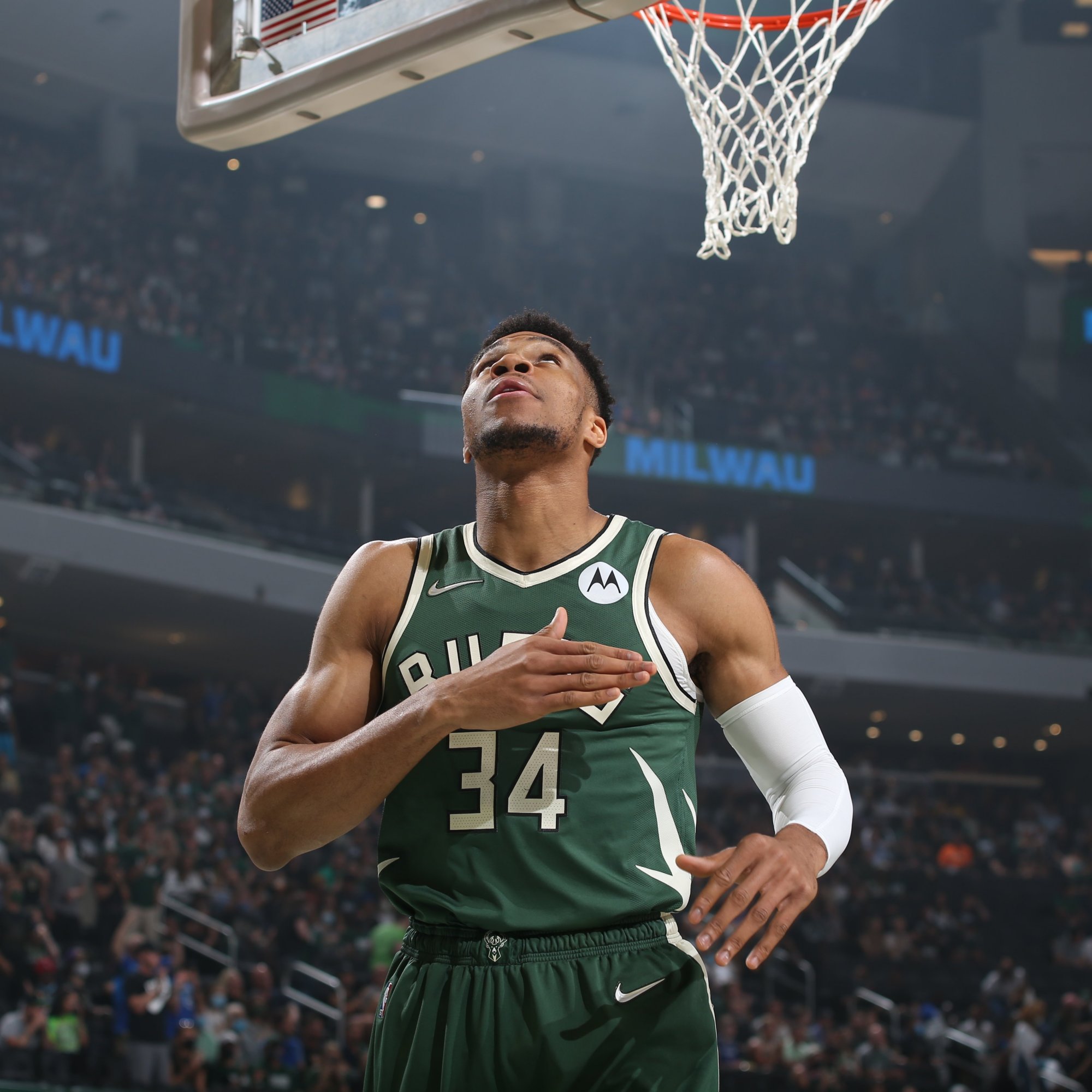 上腺素的存 上腺素的存