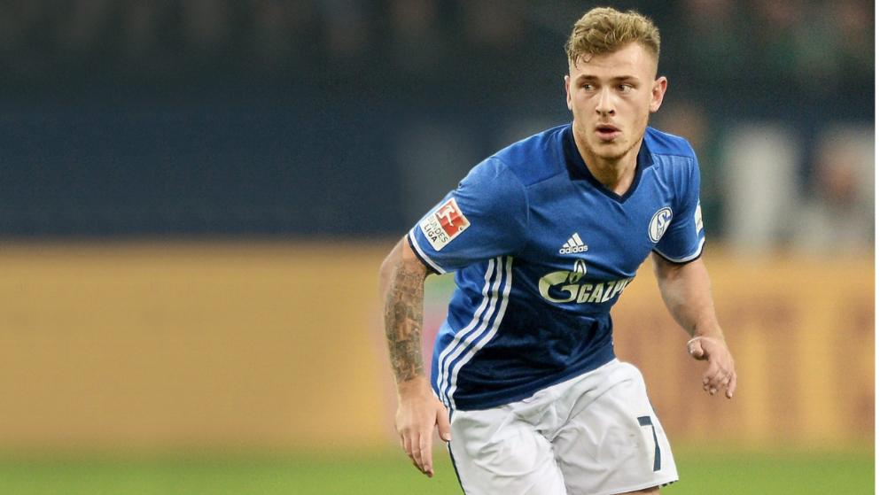 协同进化 协同进化